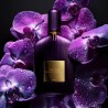 "Tom Ford Black Orchid Velvet: A luxurious, dark, gourmand, rich."