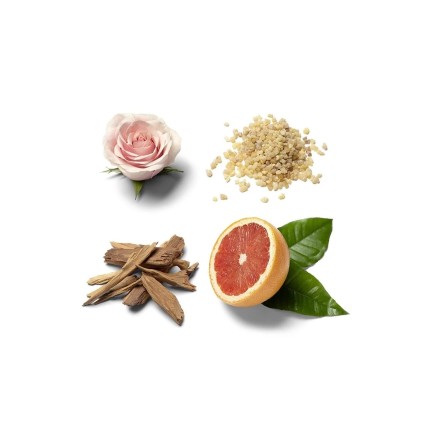 "Brioni L'Eclat: A vibrant, citrus, floral, musky, radiant."