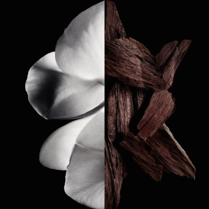 "Givenchy Gentleman Society: A modern, sophisticated woody-floral for men."
