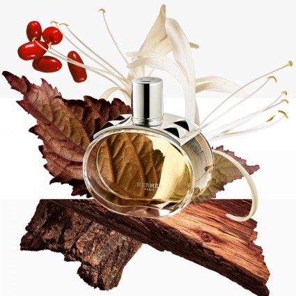 "Hermès Barénia: A sensual, elegant, woody chypre for women."
