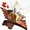 "Hermès Barénia: A sensual, elegant, woody chypre for women."