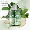 "Hermès H24 Herbes Vives: A fresh, vibrant, green aromatic."