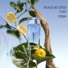 "Kenzo L'Eau pour Homme: A fresh, aquatic, citrus, vibrant."