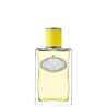 "Prada Infusion d'Ylang: A luminous, floral, warm, tropical ylang."