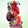 "Prada Infusion de Figue: A green, fresh, fruity, fig, woody."