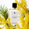 "Réminiscence Mimosa: A bright, powdery, soft floral mimosa."