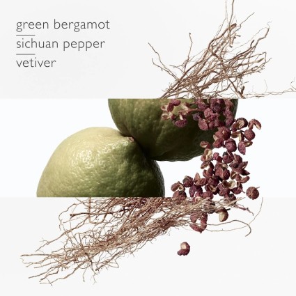 "Hermès Terre d'Hermès Vetiver: A strong, earthy, woody vetiver."