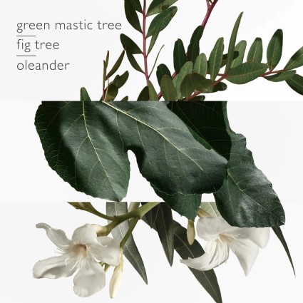 "Hermès Un Jardin en Méditerranée: A fig, green, woody, fresh."