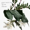 "Hermès Un Jardin en Méditerranée: A fig, green, woody, fresh."