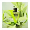 "Valentino Donna Green: A fresh, floral, woody, tea-like."