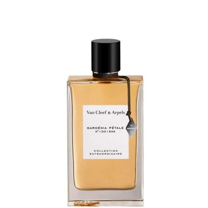"VCA Gardénia Pétale: A fresh, creamy, lush, white gardenia."