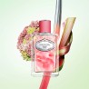 "Prada Infusion de Rhubarbe: A fresh, green, fruity, musky."