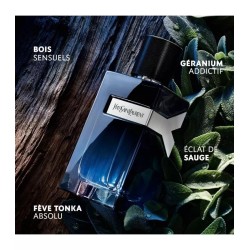 Discover YSL Y EDP Intense. Fresh, woody, ultimate modern fragrance.
