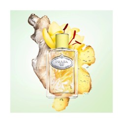 "Infusion de Gingembre opens with an electrifying burst of spicy Ginger and bright Green Mandarin, creating an immediate sense o