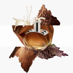Hermès Barénia Eau de Parfum Intense | Official Hermès Fragrance