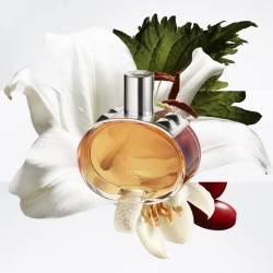 Hermès Barénia Pleine Fleur