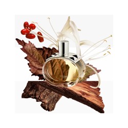 Hermès Barénia Eau de Parfum Gift Set 60 ml