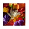 Guerlain Aqua Allegoria Forte Florabloom Eau de Parfum Gift Set 75 ml
