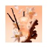 Jean Paul Gaultier Classique Eau de Toilette Gift Set 50 ml