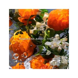 Guerlain Aqua Allegoria Forte Mandarine Basilic Eau de Parfum Gift Set 75 ml