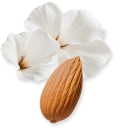 Valaya Exclusif - Parfums de Marly