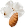 Valaya Exclusif - Parfums de Marly