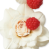 Parfums de Marly Meliora Eau de Parfum pour femme