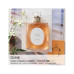 Dune Dior Eau de Toilette 100 ml – Dioriginals 2026