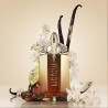 "Mugler Alien Goddess Intense: A warm, vanilla, jasmine, solar."