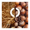 "Caron Aimez-Moi Comme Je Suis: A woody, hazelnut, vetiver, modern."